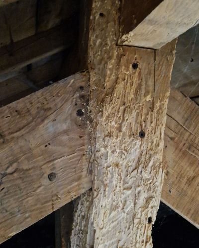 Renov15 traitement charpentes