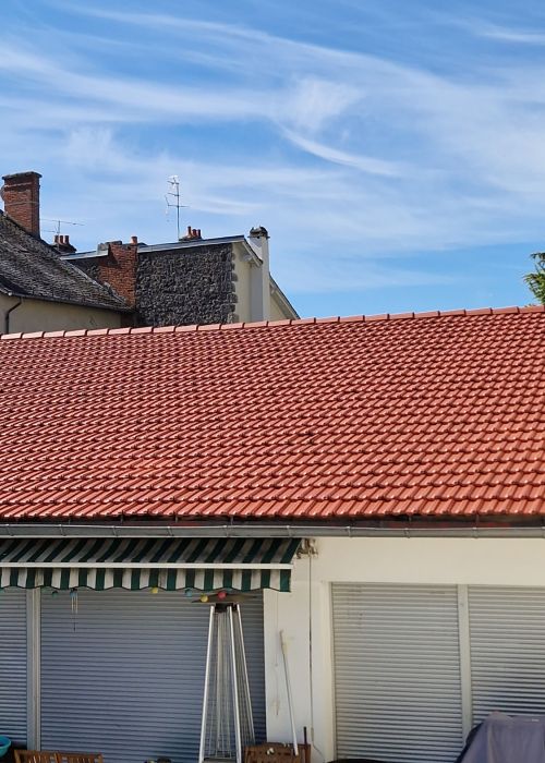 Rénov 15 Traitement anti-mousse