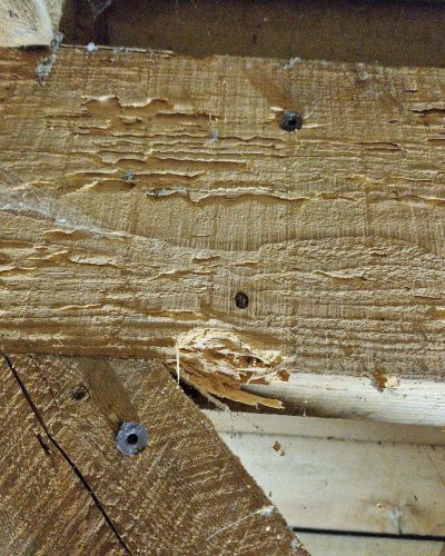 Renov15 traitement charpentes